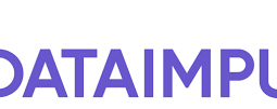 DataImpulse