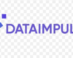 DataImpulse